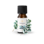 Aureawald naturreines ätherisches Eukalyputs Bio-Öl