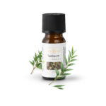 Aureawald naturreines ätherisches Teebaum Bio-Öl