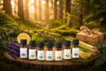 Essenz des Waldes Premium Set