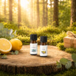 Frische des Waldes Set mit Eukalyptus, Zitrone